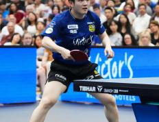 世俱杯决赛-德国乒乓球队绝杀中国乒乓球队，樊振东爆发神勇的简单介绍