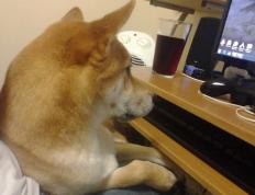 世俱杯改制-骑湖风云录，一场扭转格局的险胜