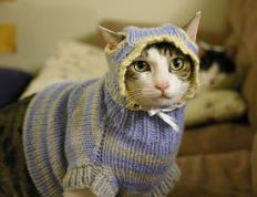 世俱杯2025-双线战场，当德甲争冠硝烟遇上那不勒斯的尼日利亚王牌