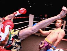 世俱杯分组-鹿岛鹿角全力备战世俱杯，冲击冠军信心十足