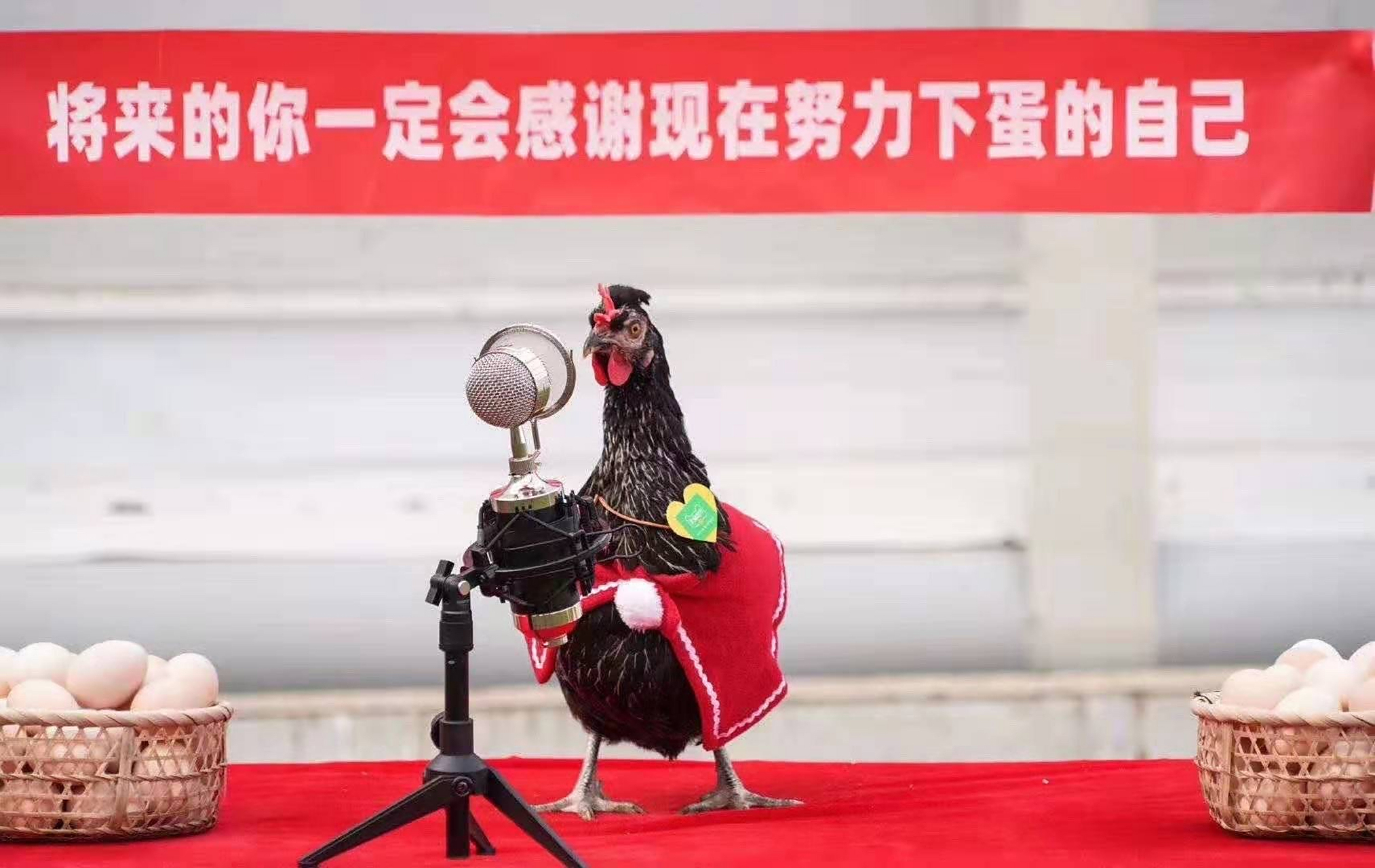 世俱杯分组-包含关乎尊严的欧洲足球战：弱者淘汰，强者晋级的词条