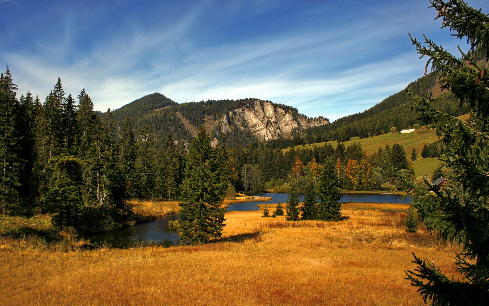 世俱杯奖金-一剑封喉寒光闪,意甲焦点战之夜,布鲁诺于无声处听惊雷