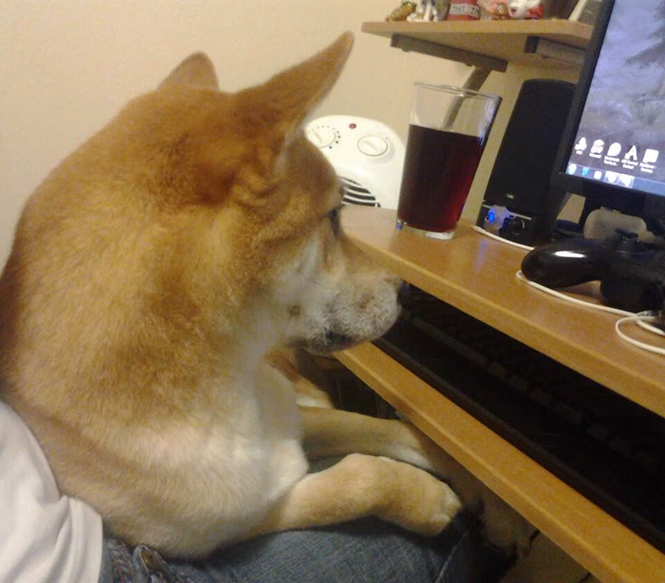 世俱杯参赛资格-苏亚雷斯一箭定乾坤,佛罗伦萨主场终结AC米兰不败金身