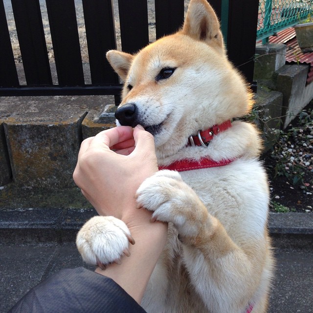 世俱杯-德甲争冠激战引爆绿茵风暴，挪威爆冷英格兰重塑足坛格局