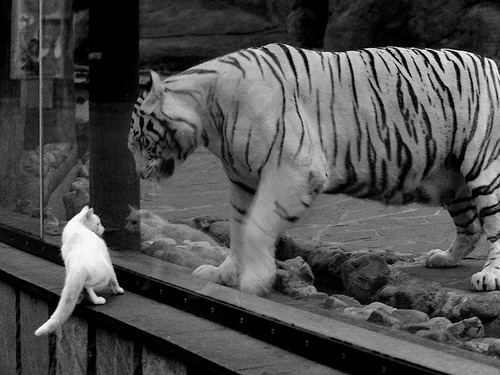 世俱杯赛程-神迹夜！乌克兰对阵巴萨友谊赛，穆勒替补登场评分拉满