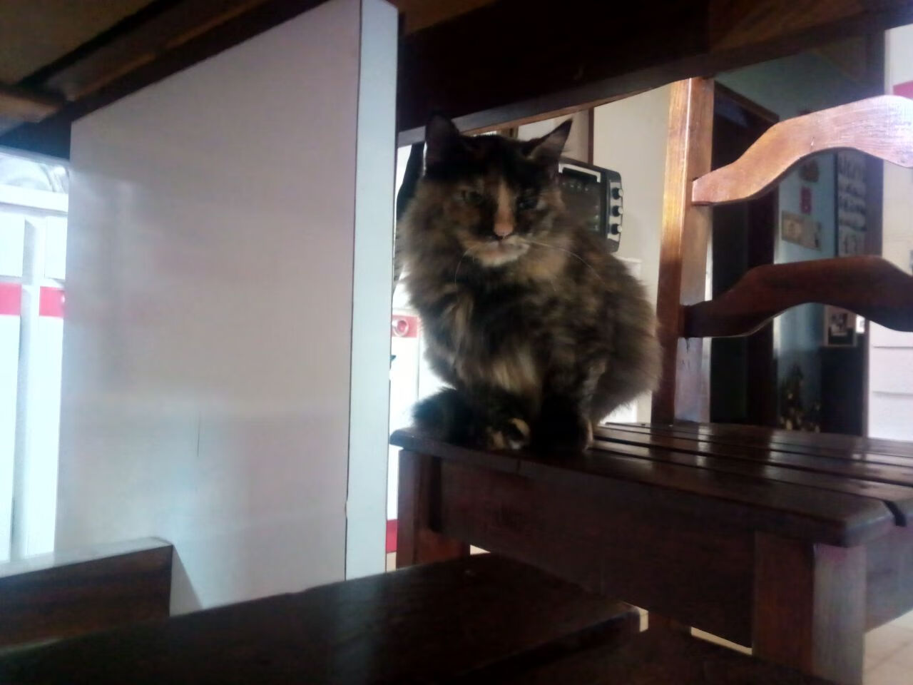 世俱杯改制-关键战突围背后,塔图姆用硬仗定义王的含金量