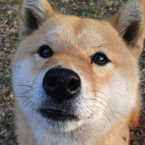 世俱杯2025-战术革新与巨星蜕变，开拓者如何用空间魔法锁死热火，浓眉成为胜负手