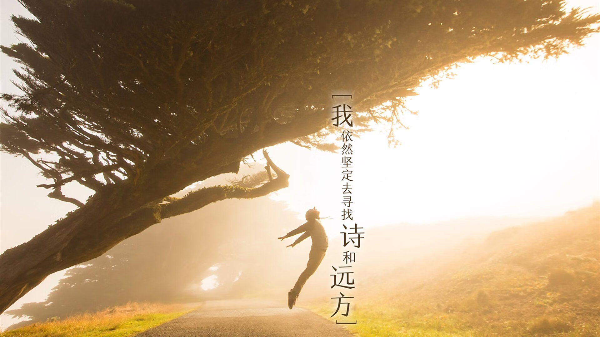 世俱杯分组-红色赛道上的黑色闪电,当牙买加血脉点燃F1终局之战