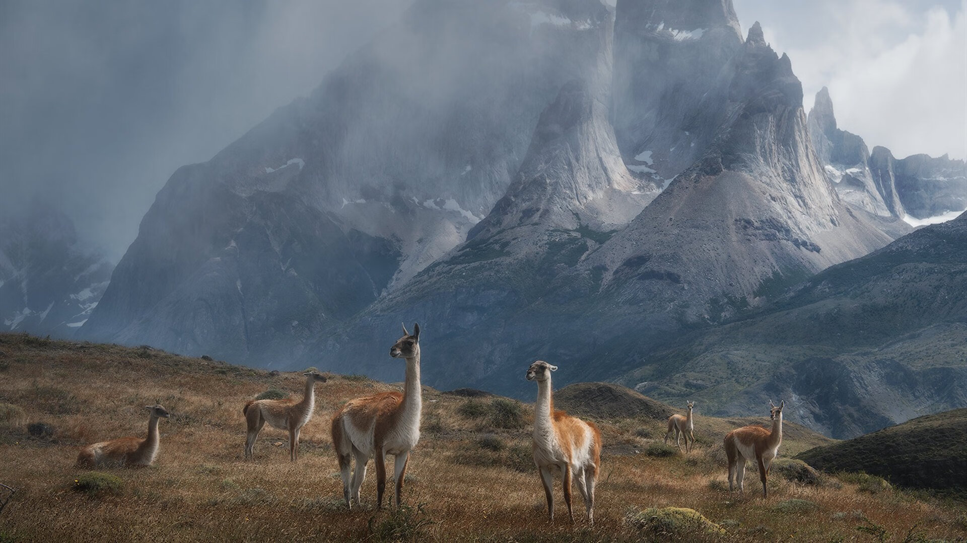 世俱杯分组-红色赛道上的黑色闪电,当牙买加血脉点燃F1终局之战