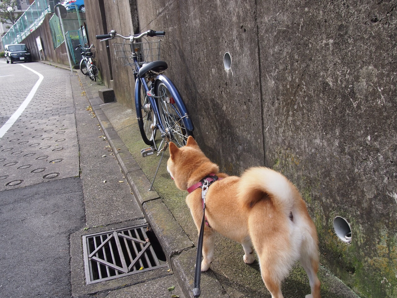 世俱杯分组-拉文生涯之夜狂砍55分!雷霆主场加时惜败奇才